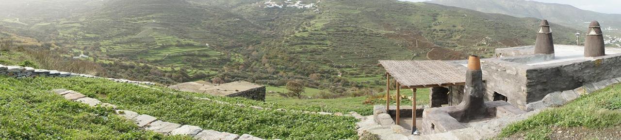 Alonaki Tinos Rental Cottage House Skaladhos Bagian luar foto